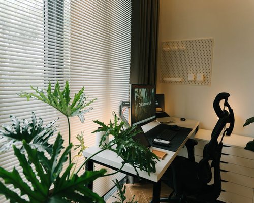 A peaceful office setup with plants