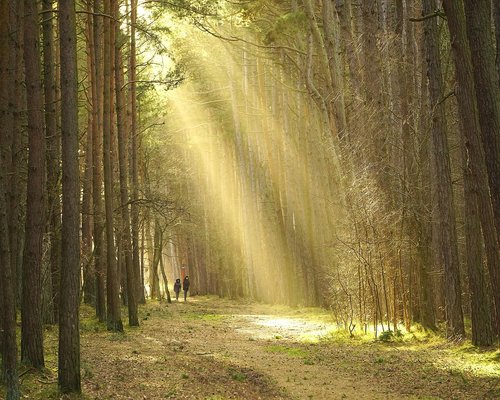 People enjoying a gentle walk in the late afternoon